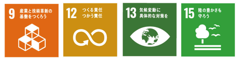 バイオマスベルト：SDGs