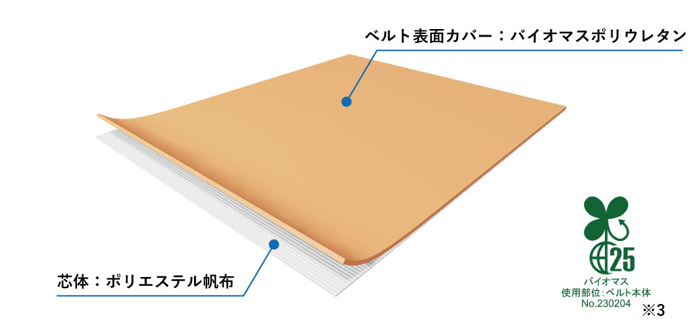 バイオマスベルト：構造