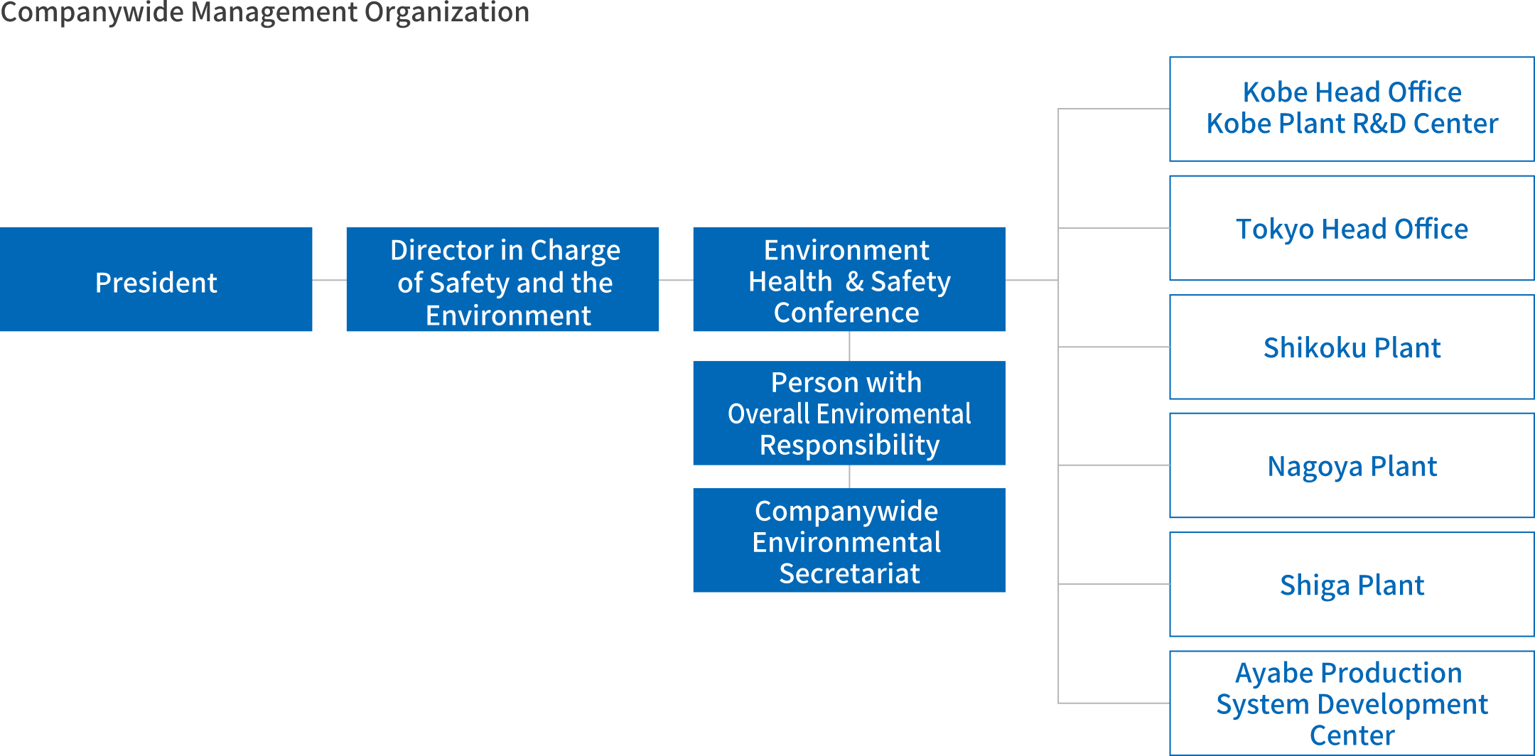 Companywide Management Organization