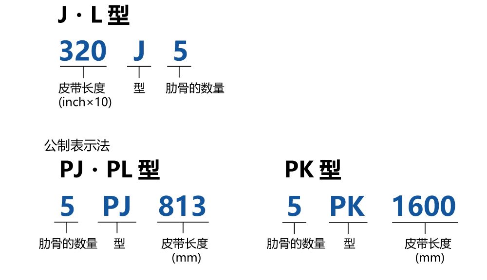 皮带指定