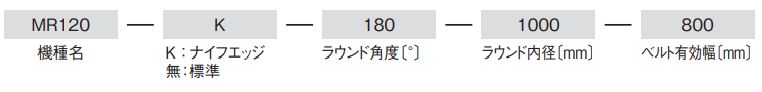 表示形式例　特殊機種
