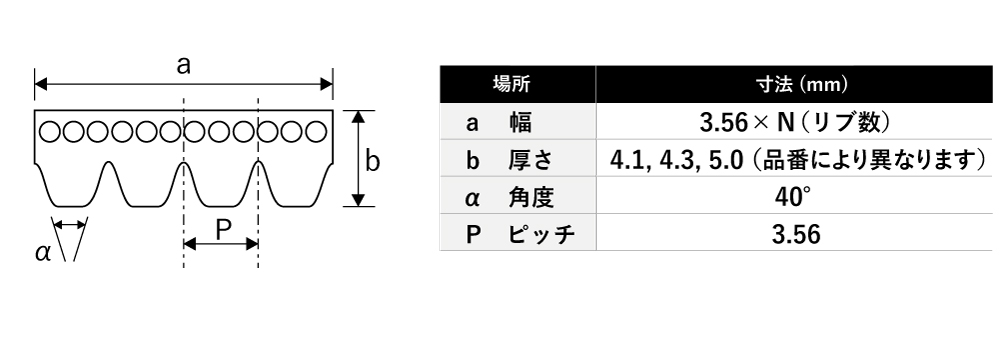 リブスターベルト