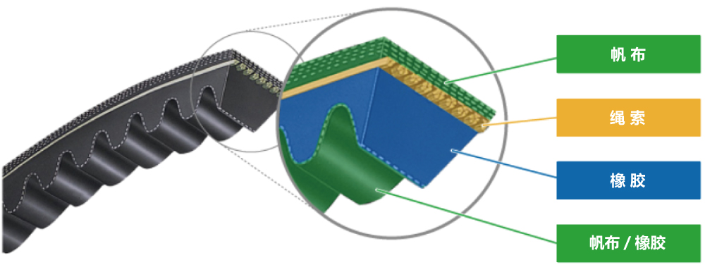 【汽车用切边楔形齿状带】<br>皮带底部的齿轮形状提高了灵活性并延长了其使用寿命。