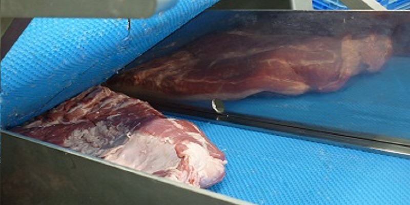 肉品包装厂MX333BLS