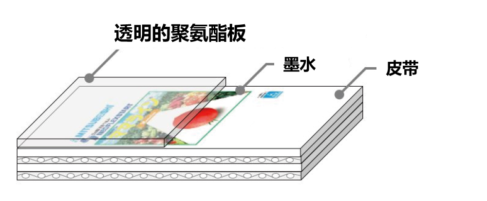 印刷在皮带表面盖上，并由焊接的透明聚氨酯保护。