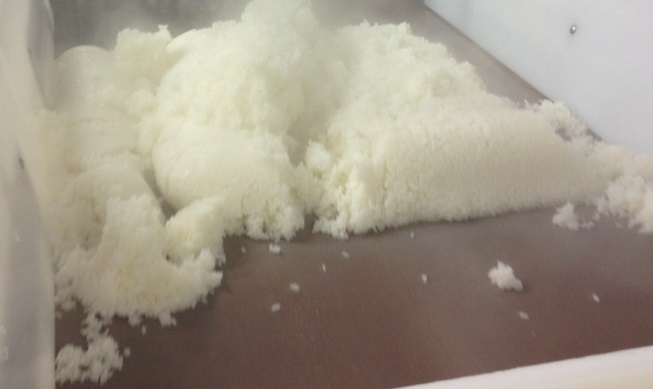Freshly cooked rice transport:NS32UCG0/3PTFE
