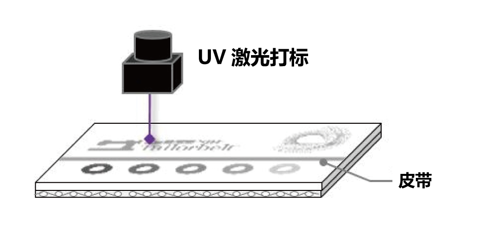 紫外线激光照射琵琶的表面覆盖物。