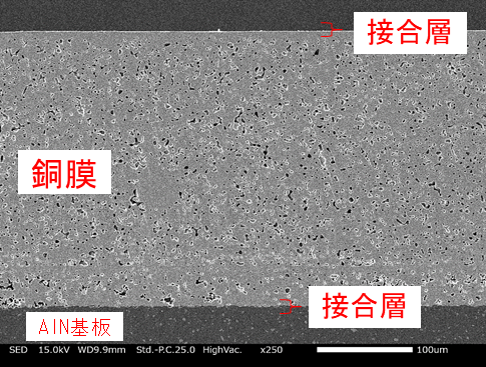 ・活性金属ペーストを接合層に用いた銅ペースト超厚膜(300μm)焼成基板接合面の断面SEM画像